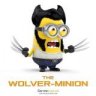 wolvy