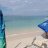 solomare
