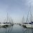 Giuca8